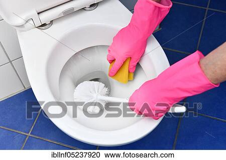 Person with rubber gloves cleans toilet with brush, Germany, Europe View Large Photo Image Stock Image - Person with rubber gloves cleans toilet with brush, Germany, Europe. Fotosearch