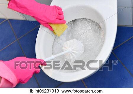Person with rubber gloves cleans toilet with brush, Germany, Europe View Large Photo Image Stock Photo - Person with rubber gloves cleans toilet with brush, Germany, Europe. Fotosearch