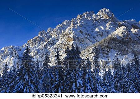 Picco di Vallandro, Alpenglow, Dolomites, South Tyrol, Italy, Europe View Large Photo Image Stock Image - Picco di Vallandro, Alpenglow, Dolomites, South Tyrol, Italy, Europe. Fotosearch