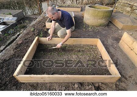Planting of organic garden, sowing of spinach, natural garden, box system View Large Photo Image Stock Image - Planting of organic garden, sowing of spinach, natural garden, box system. Fotosearch