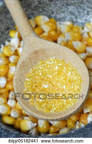 Stock Image - Polenta, Corn (Zea mays) semolina, flour, grains, wooden spoon. Fotosearch