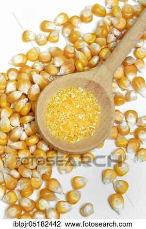 Stock Image - Polenta, Corn (Zea mays) semolina, flour, grains, wooden spoon. Fotosearch
