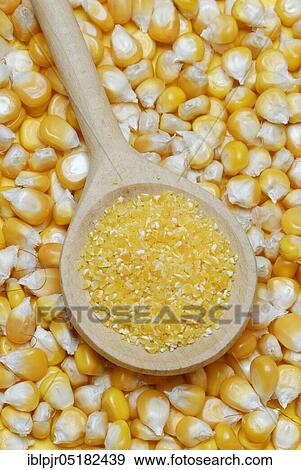 Stock Photo - Polenta, Corn (Zea mays) semolina, flour, grains, wooden spoon. Fotosearch