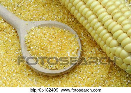 Stock Photo - Polenta, maize, corn semolina, maize semolina, maize flour, wooden spoon, corncob. Fotosearch