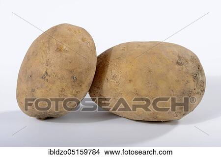 Potatoes (Solanum tuberosum), Linda variety View Large Photo Image Picture - Potatoes (Solanum tuberosum), Linda variety. Fotosearch