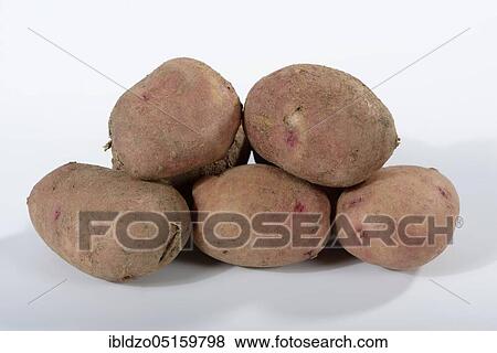 Potatoes (Solanum tuberosum), variety Reichskanzler View Large Photo Image Stock Photo - Potatoes (Solanum tuberosum), variety Reichskanzler. Fotosearch