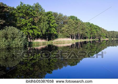 Prerow, Prerower Strom, Mecklenburg-Western Pomerania, Germany, Europe View Large Photo Image Stock Photo - Prerow, Prerower Strom, Mecklenburg-Western Pomerania, Germany, Europe. Fotosearch