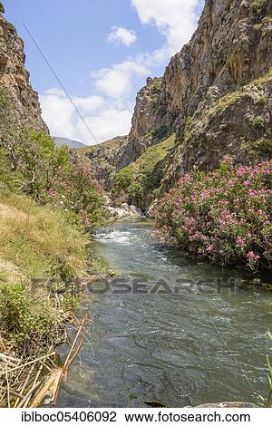 Preveli, Crete, Greece, Europe View Large Photo Image Stock Image - Preveli, Crete, Greece, Europe. Fotosearch