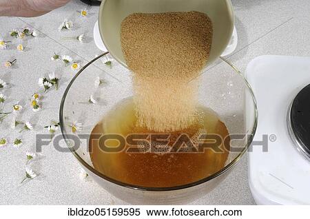 Production of daisy syrup (Bellis perennis), daisy syrup, daisies, daisies, made-to-measure daisies, thousand daisies View Large Photo Image Stock Photography - Production of daisy syrup (Bellis perennis), daisy syrup, daisies, daisies, made-to-measure daisies, thousand daisies. Fotosearch