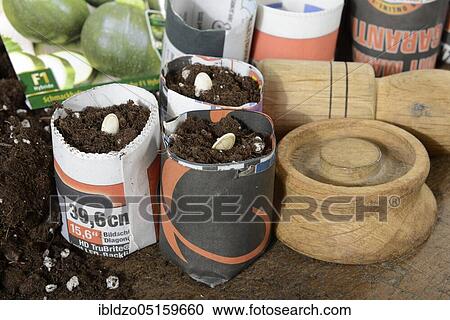 Production paper plant pot, potting soil View Large Photo Image Stock Image - Production paper plant pot, potting soil. Fotosearch