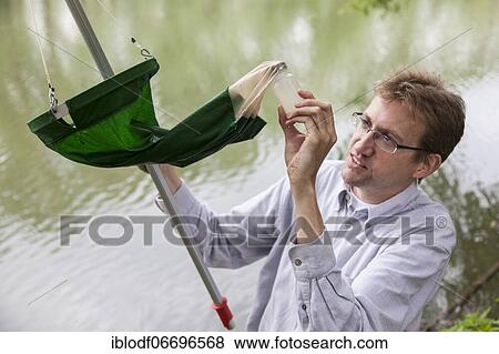 Prof. Dr. Jens Boenigk, biologist at the University of Duisburg-Essen, checking water samples at Grietherbusch on the Lower Rhine, North Rhine-Westphalia, Germany, Europe View Large Photo Image Stock Photo - Prof. Dr. Jens Boenigk, biologist at the University of Duisburg-Essen, checking water samples at Grietherbusch on the Lower Rhine, North Rhine-Westphalia, Germany, Europe. Fotosearch