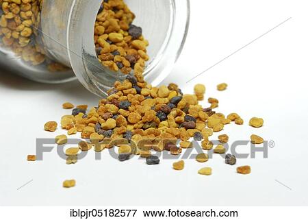 Stock Photo - Propolis, flower pollen, bee resin, bee putty resin, putty wax. Fotosearch