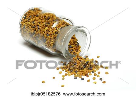 Stock Photograph - Propolis, flower pollen, bee resin, bee putty resin, putty wax. Fotosearch