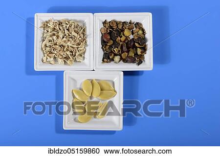 Prostate medicine, nettle root, pumpkin seeds (Cucurbita) (Sabal serrulata) (Fructus Sabalae serrulatae) (Urtica dioica), saw palmetto fruits, saw palmetto fruits (Serenoa repens) View Large Photo Image Stock Image - Prostate medicine, nettle root, pumpkin seeds (Cucurbita) (Sabal serrulata) (Fructus Sabalae serrulatae) (Urtica dioica), saw palmetto fruits, saw palmetto fruits (Serenoa repens). Fotosearch
