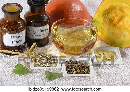 Prostate medicine, nettle root, pumpkin seeds (Cucurbita) (Sabal serrulata) (Fructus Sabalae serrulatae) (Urtica dioica), saw palmetto fruits, saw palmetto fruits (Serenoa repens) View Large Photo Image Stock Image - Prostate medicine, nettle root, pumpkin seeds (Cucurbita) (Sabal serrulata) (Fructus Sabalae serrulatae) (Urtica dioica), saw palmetto fruits, saw palmetto fruits (Serenoa repens). Fotosearch