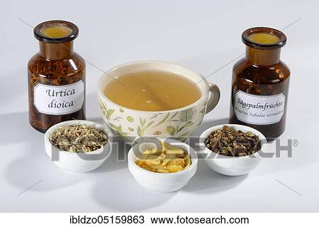 Stock Image - Prostate medicine, nettle root, pumpkin seeds (Cucurbita) (Sabal serrulata) (Fructus Sabalae serrulatae) (Urtica dioica), saw palmetto fruit, saw palmetto fruit (Serenoa repens) cup, te. Fotosearch