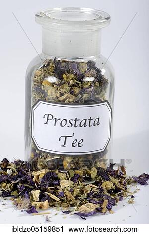 Prostate tea, willowherb, parsley root, bearberry leaf, german camomile, matricaria chamomilla, smooth rupturewort, blossoms of mallow, juniper berries, caraway, (Glandula prostatica), (Matricaria chamomilla), (Herniaria glabra), (Malvae flos), (Ep... View Large Photo Image Stock Image - Prostate tea, willowherb, parsley root, bearberry leaf, german camomile, matricaria chamomilla, smooth rupturewort, blossoms of mallow, juniper berries, caraway, (Glandula prostatica), (Matricaria chamomilla), (Herniaria glabra), (Malvae flos), (Ep.... Fotosearch