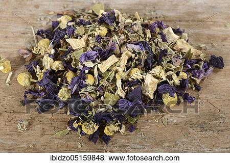 Prostate tea, willowherb, parsley root, bearberry leaf, german camomile, matricaria chamomilla, smooth rupturewort, blossoms of mallow, juniper berries, caraway, (Glandula prostatica), (Matricaria chamomilla), (Herniaria glabra), (Malvae flos), (Ep... View Large Photo Image Stock Photo - Prostate tea, willowherb, parsley root, bearberry leaf, german camomile, matricaria chamomilla, smooth rupturewort, blossoms of mallow, juniper berries, caraway, (Glandula prostatica), (Matricaria chamomilla), (Herniaria glabra), (Malvae flos), (Ep.... Fotosearch