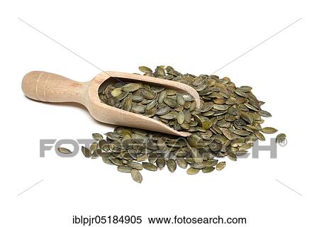 Stock Photography - Pumpkincores ( Cucurbita) with wooden shovel. Fotosearch