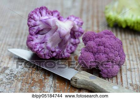 Purple Cauliflower ( Braßica oleracea var. botrytis) with knife View Large Photo Image Picture - Purple Cauliflower ( Braßica oleracea var. botrytis) with knife. Fotosearch