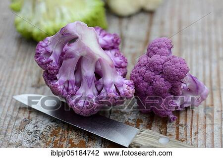 Purple Cauliflower ( Braßica oleracea var. botrytis) with knife View Large Photo Image Stock Image - Purple Cauliflower ( Braßica oleracea var. botrytis) with knife. Fotosearch