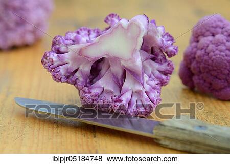 Stock Photo - Purple Cauliflower ( Braßica oleracea var. botrytis) with knife. Fotosearch