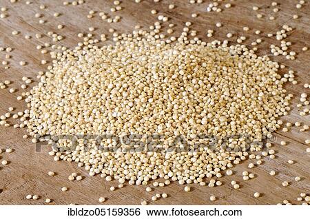 Quinoa, Inca rice, rice report, Inca grain, rice spinach, Quinoa (Chenopodium quinoa), Perureis View Large Photo Image Stock Photograph - Quinoa, Inca rice, rice report, Inca grain, rice spinach, Quinoa (Chenopodium quinoa), Perureis. Fotosearch