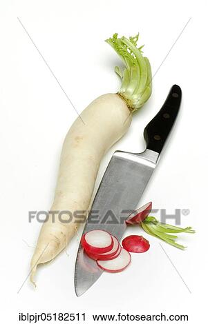 Radish and Red Radish (Raphanus sativus var. sativus) knife (Raphanus sativus) View Large Photo Image Stock Image - Radish and Red Radish (Raphanus sativus var. sativus) knife (Raphanus sativus). Fotosearch