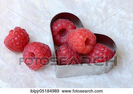 Stock Photo - Raspberry ( Rubus idaeus), Baking pan. Fotosearch