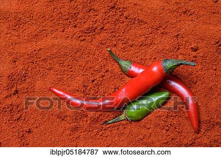 Red and green chilli peppers in chilli powder, chilli peppers, chili peppers ( Capsicum annuum) paprika powder View Large Photo Image Stock Photo - Red and green chilli peppers in chilli powder, chilli peppers, chili peppers ( Capsicum annuum) paprika powder. Fotosearch