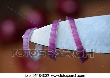 Stock Image - Red Common onion ( Allium cepa) rings on the tip of a knife. Fotosearch