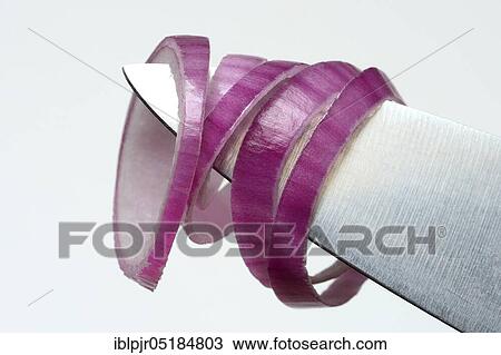 Red Common onion ( Allium cepa) rings on the tip of a knife View Large Photo Image Stock Image - Red Common onion ( Allium cepa) rings on the tip of a knife. Fotosearch