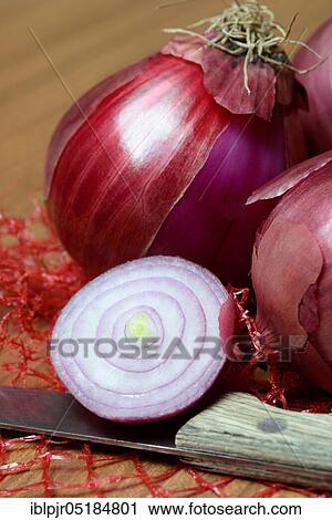 Red Common onions ( Allium cepa) sliced View Large Photo Image Stock Image - Red Common onions ( Allium cepa) sliced. Fotosearch