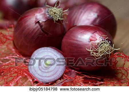 Red Common onions ( Allium cepa) sliced View Large Photo Image Stock Photo - Red Common onions ( Allium cepa) sliced. Fotosearch