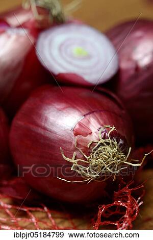 Red Common onions ( Allium cepa) sliced View Large Photo Image Stock Photo - Red Common onions ( Allium cepa) sliced. Fotosearch