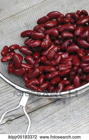 Red kidney beans in sieve, kidney beans View Large Photo Image Stock Image - Red kidney beans in sieve, kidney beans. Fotosearch