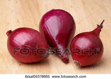 Red onions (Allium cepa) View Large Photo Image Stock Photography - Red onions (Allium cepa). Fotosearch