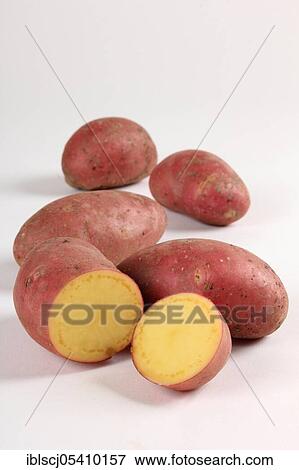 Stock Photo - Red potatoes (Solanum tuberosum), variety Laura. Fotosearch