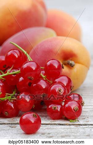 Stock Image - Redcurrants and apricots ( Ribes rubrum). Fotosearch