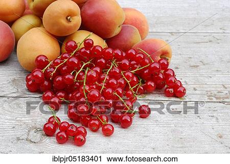 Stock Image - Redcurrants and apricots ( Ribes rubrum). Fotosearch