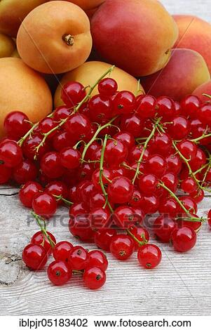 Stock Image - Redcurrants and apricots ( Ribes rubrum). Fotosearch