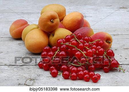 Redcurrants and apricots ( Ribes rubrum) View Large Photo Image Stock Photo - Redcurrants and apricots ( Ribes rubrum). Fotosearch