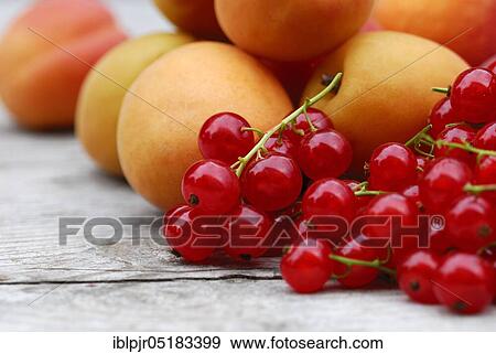 Stock Photo - Redcurrants and apricots ( Ribes rubrum). Fotosearch