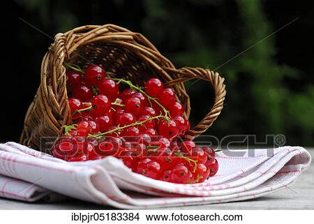 Picture - Redcurrants in baskets ( Ribes rubrum). Fotosearch