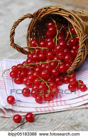 Stock Photo - Redcurrants in baskets ( Ribes rubrum). Fotosearch