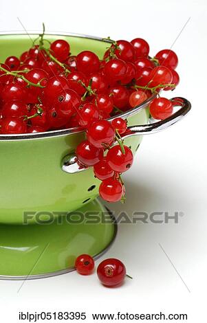 Stock Photography - Redcurrants in kitchen sieve ( Ribes rubrum), strainer, carbon copy. Fotosearch