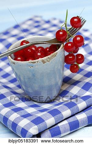 Redcurrants on fork ( Ribes rubrum) View Large Photo Image Stock Image - Redcurrants on fork ( Ribes rubrum). Fotosearch