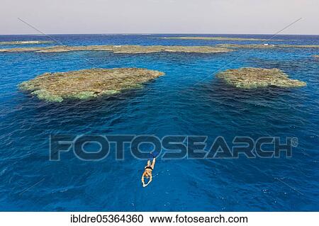 Reefs near Zabargad, Red Sea, Egypt, Africa View Large Photo Image Stock Image - Reefs near Zabargad, Red Sea, Egypt, Africa. Fotosearch