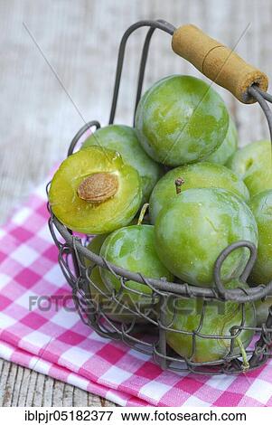 Reineclaude, basket, Reneklode, Reneclode, Ringlotte, Prunus domestica (Prunus domestica italica) View Large Photo Image Stock Photo - Reineclaude, basket, Reneklode, Reneclode, Ringlotte, Prunus domestica (Prunus domestica italica). Fotosearch