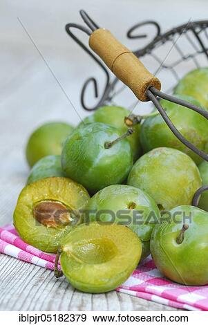 Stock Photo - Reineclaude, basket, Reneklode, Reneclode, Ringlotte, Prunus domestica (Prunus domestica italica). Fotosearch